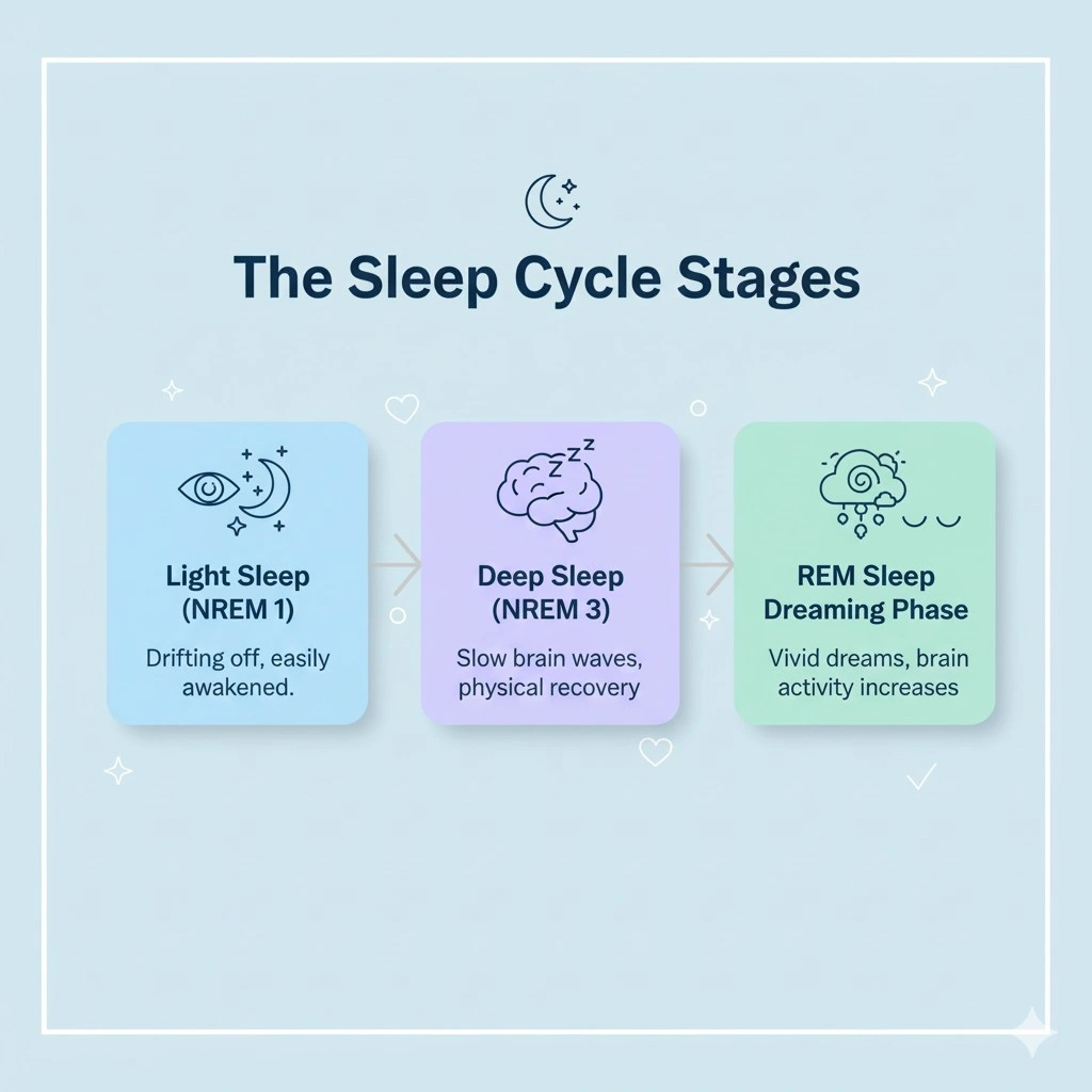 is sleep important
